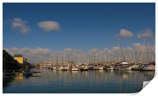 Turnchapel Harbour Print by Luke Woods