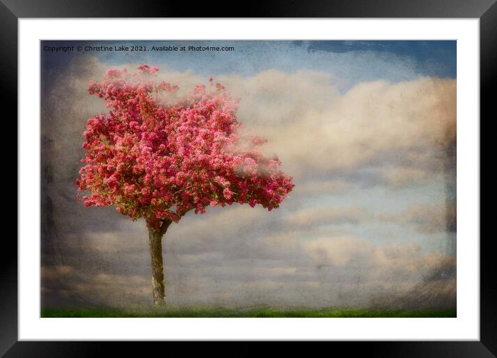 A Morning In Spring Framed Mounted Print by Christine Lake