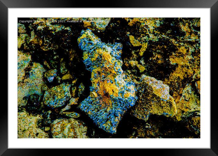 Colourful rocks on the beach Framed Mounted Print by Lucas D'Souza