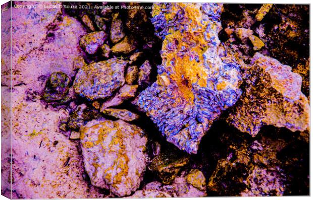Colourful rocks on the beach Canvas Print by Lucas D'Souza