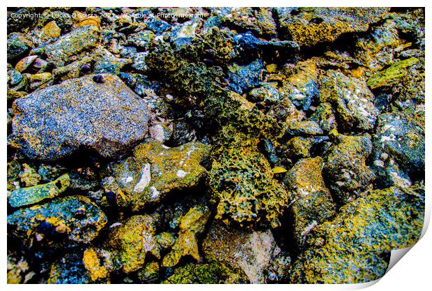 Colourful rocks on the beach Print by Lucas D'Souza