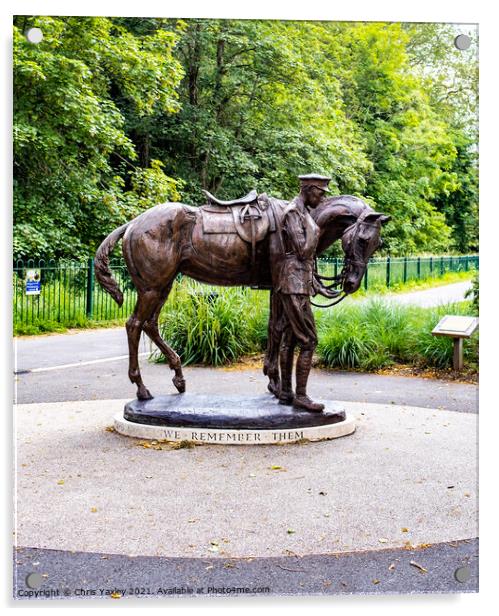 Soldier and war horse statue in Romsey Memorial Pak, Hampshire Acrylic by Chris Yaxley