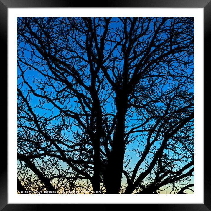 Tree silhouette at sunset Framed Mounted Print by Photimageon UK