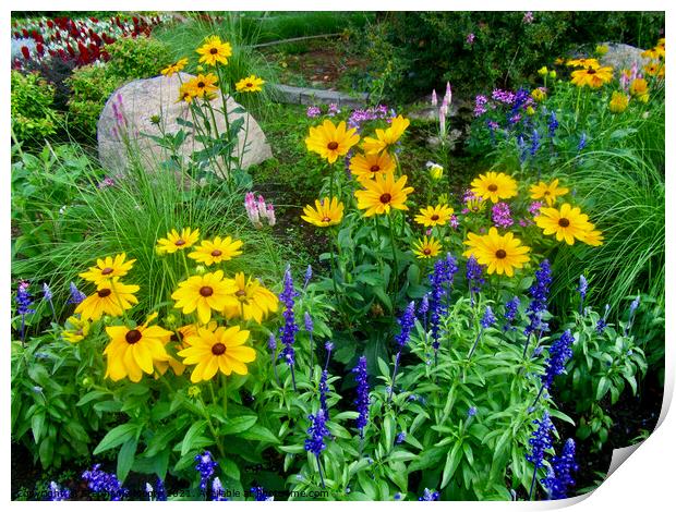 Brown Eyed Susans Print by Stephanie Moore