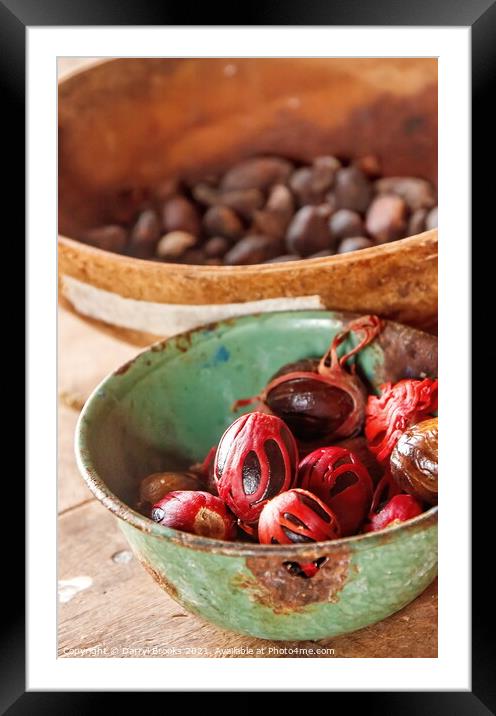 Nutmeg in Green and Brown Bowls Framed Mounted Print by Darryl Brooks