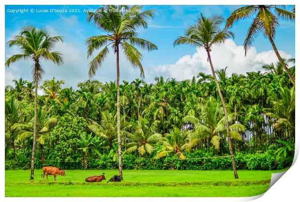 Coconut and areca nut farming Print by Lucas D'Souza