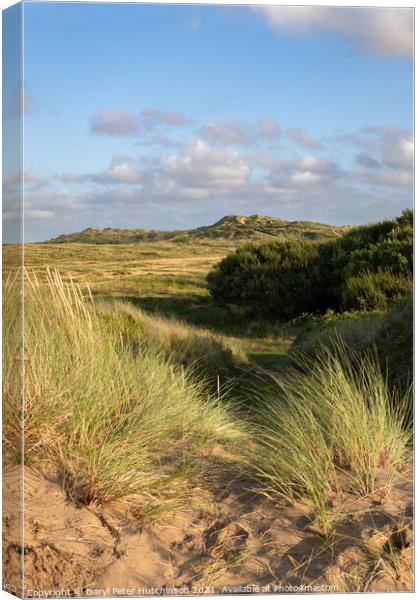 Braunton Burrows sand dunes North Devon Canvas Print by Daryl Peter Hutchinson