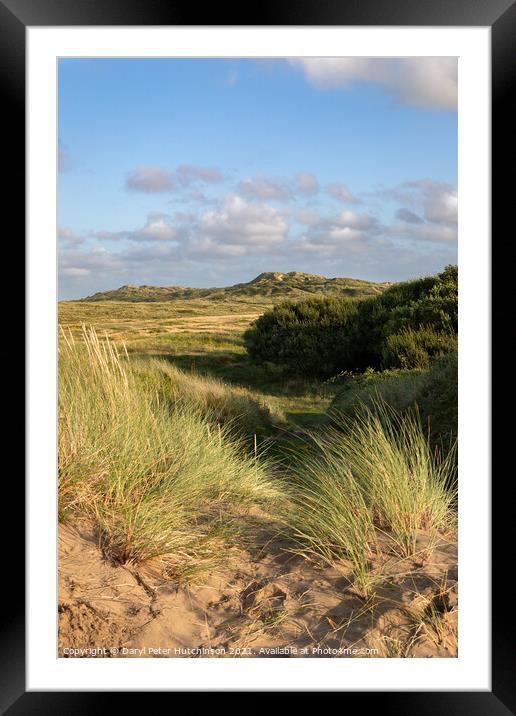 Braunton Burrows sand dunes North Devon Framed Mounted Print by Daryl Peter Hutchinson
