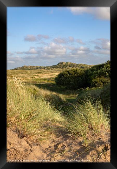 Braunton Burrows sand dunes North Devon Framed Print by Daryl Peter Hutchinson