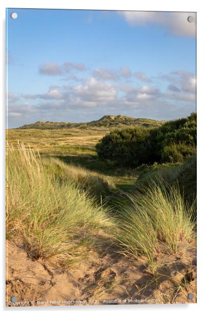 Braunton Burrows sand dunes North Devon Acrylic by Daryl Peter Hutchinson
