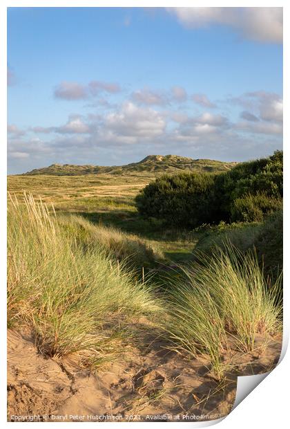 Braunton Burrows sand dunes North Devon Print by Daryl Peter Hutchinson