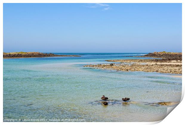 Shallow water - Port Fairy Print by Laszlo Konya