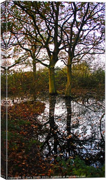 Reflections Canvas Print by GJS Photography Artist
