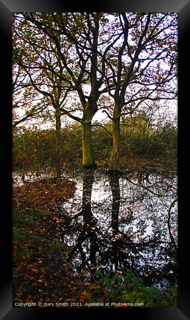 Reflections Framed Print by GJS Photography Artist