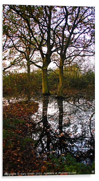 Reflections Acrylic by GJS Photography Artist