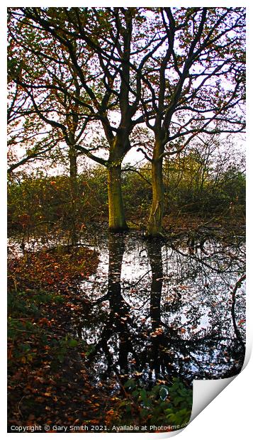 Reflections Print by GJS Photography Artist