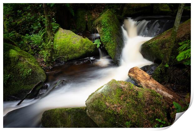 Wyming brook fairy glen 581 Print by PHILIP CHALK