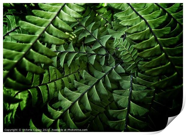 Abstract ferns Print by Victoria Copley