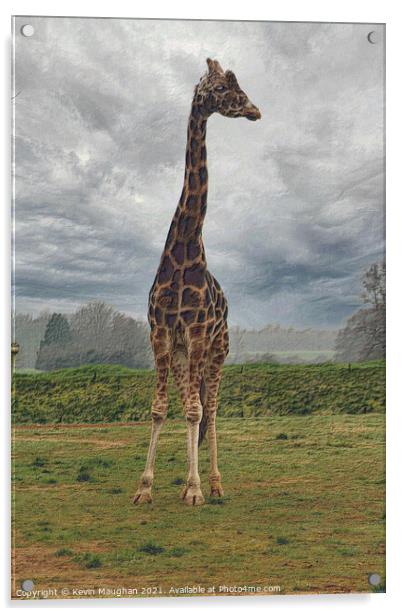 Very Tall Giraffe Acrylic by Kevin Maughan
