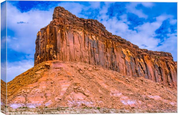 Red Cliff Canyonlands Needles Utah Canvas Print by William Perry