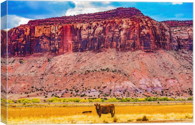 Cattle Red Cliff Canyonlands Needles Utah Canvas Print by William Perry