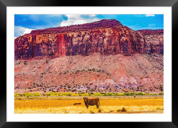 Cattle Red Cliff Canyonlands Needles Utah Framed Mounted Print by William Perry