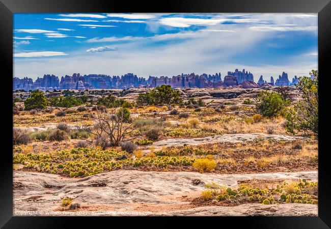 Sandstone Spires Canyonlands Needles District Utah Framed Print by William Perry