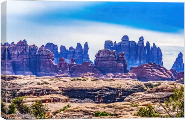 Sandstone Spires Canyonlands Needles District Utah Canvas Print by William Perry