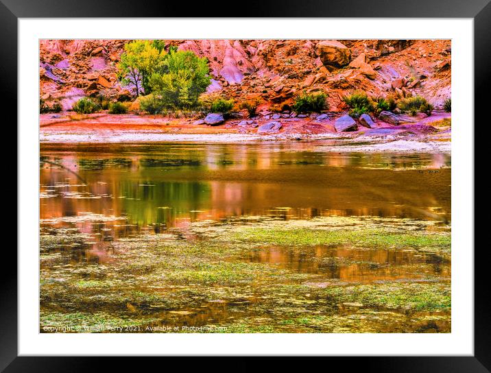 Indian Creek Reflection Red Cliff Canyonlands Needles Utah Framed Mounted Print by William Perry