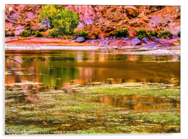 Indian Creek Reflection Red Cliff Canyonlands Needles Utah Acrylic by William Perry