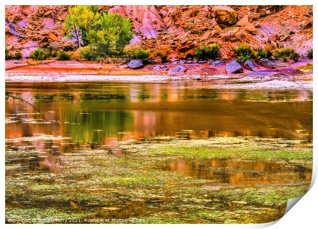 Indian Creek Reflection Red Cliff Canyonlands Needles Utah Print by William Perry