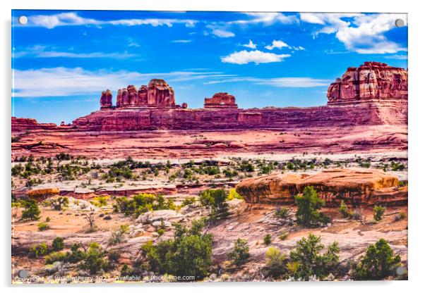 Wooden Shoe Arch Pink Buttes Canyonlands Needles Utah Acrylic by William Perry