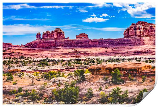 Wooden Shoe Arch Pink Buttes Canyonlands Needles Utah Print by William Perry