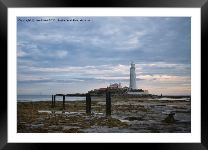 St Mary's Island and Lighthouse in August Framed Mounted Print by Jim Jones