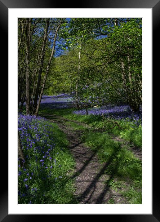 A Sea of Bluebells Framed Mounted Print by Ron Ella