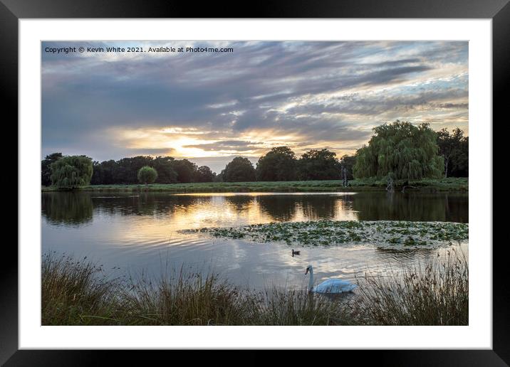 Heron pond Bushy Park Framed Mounted Print by Kevin White