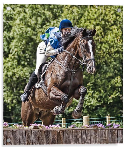 Show jumping Acrylic by Sam Smith