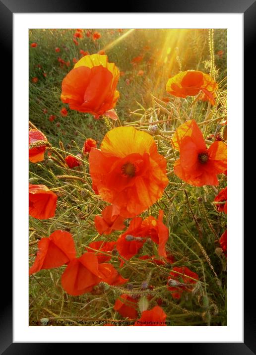  A poppy to Remember my father Framed Mounted Print by Simon Johnson