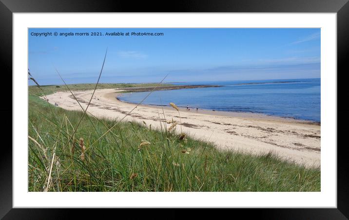 beadnell bay Northumberland Framed Mounted Print by angela morris