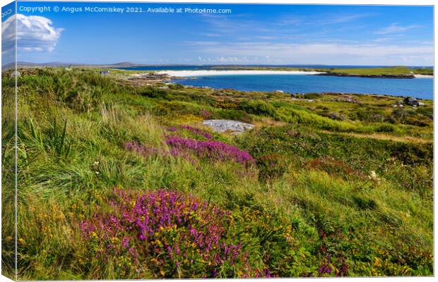 Dog's Bay near Roundstone, County Galway, Ireland Canvas Print by Angus McComiskey