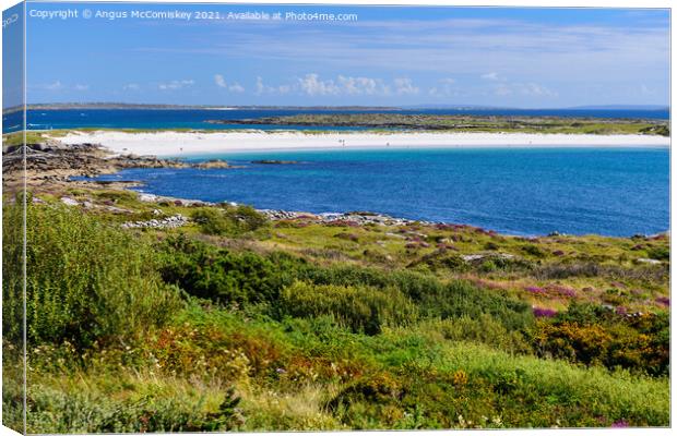 White sands at Dog's Bay, County Galway, Ireland Canvas Print by Angus McComiskey