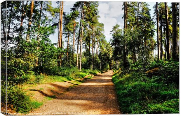 Cannock Chase Walks and trails Canvas Print by Diana Mower