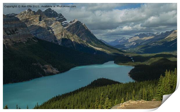 Milky Waters of Peyto Lake Print by Ron Ella