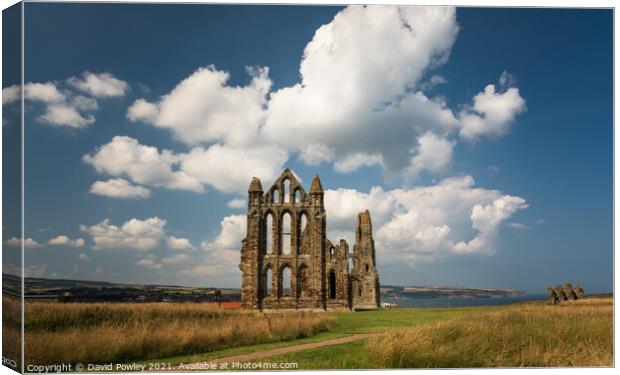 Summer Sky Over Whitby Abbey Canvas Print by David Powley