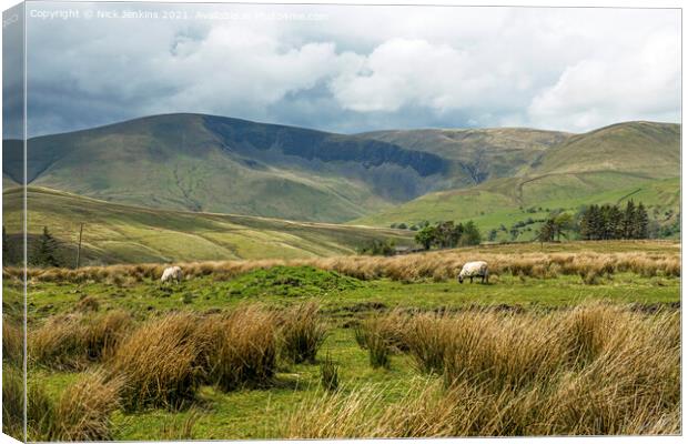 Looking towards Cautley Crags from Uldale Canvas Print by Nick Jenkins