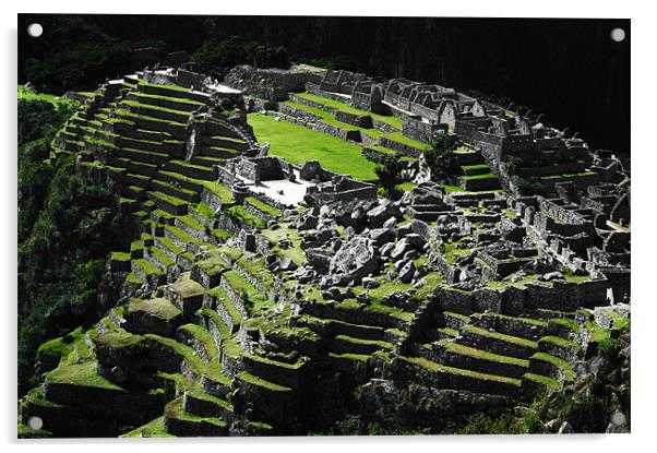 Machu Picchu Acrylic by Neil Gavin