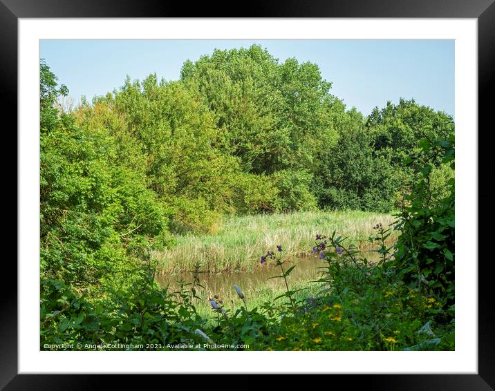 Barlow Common Framed Mounted Print by Angela Cottingham