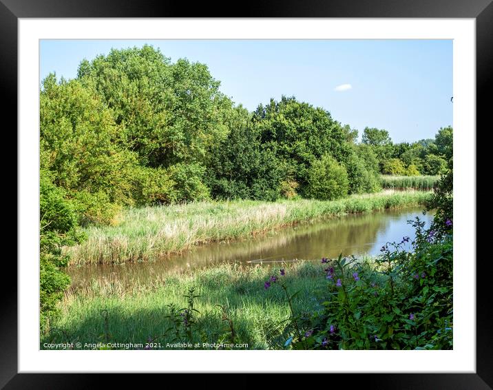 Pond at Barlow Common Framed Mounted Print by Angela Cottingham