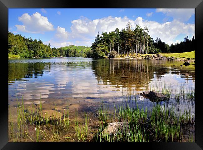 Tarn Hows, Lake District Framed Print by Jason Connolly