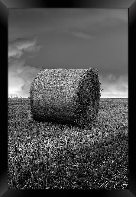 hay bale b&w Framed Print by Northeast Images